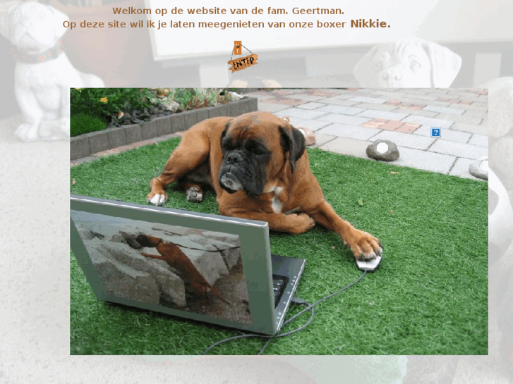 www.geertman.net