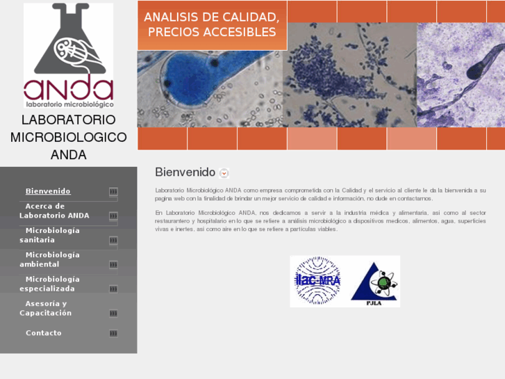 www.laboratorioanda.com