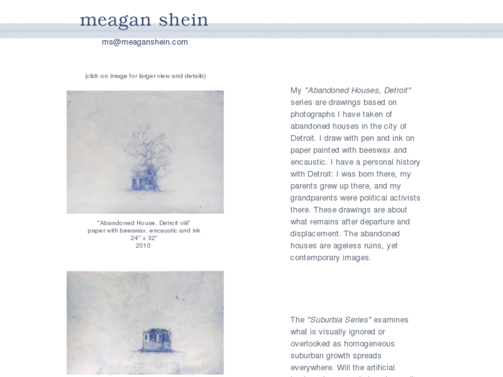 www.meaganshein.com