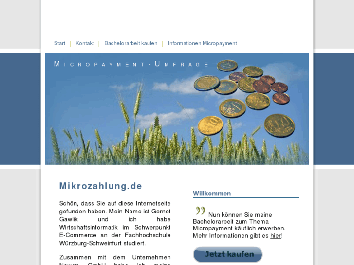 www.mikrozahlung.de