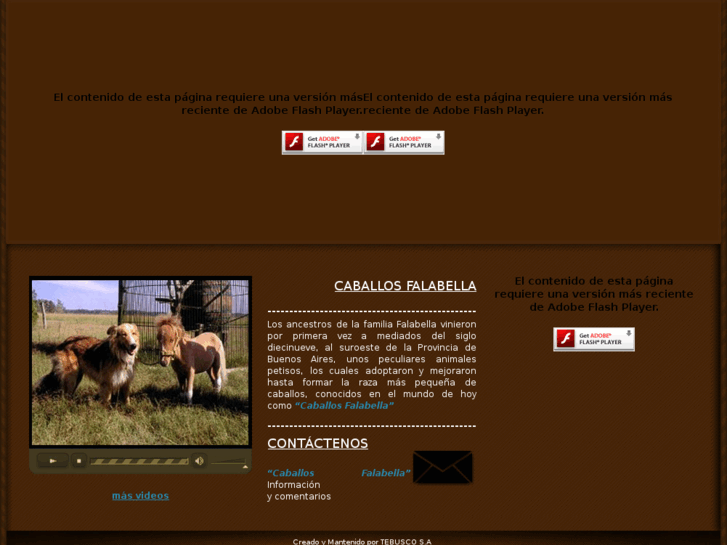 www.caballosfalabella.com