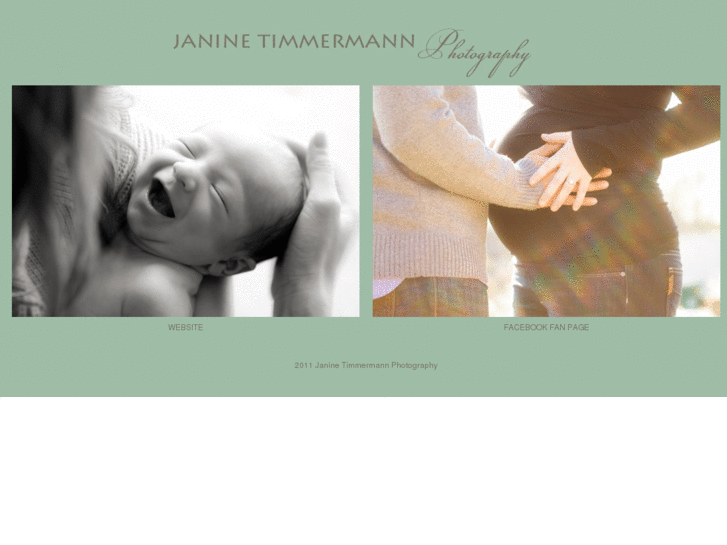 www.janinetimmermannphotography.com