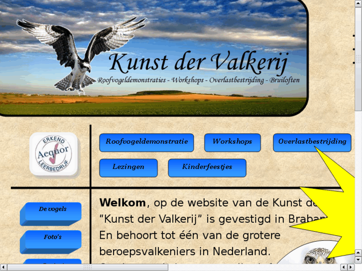 www.kunstdervalkerij.com