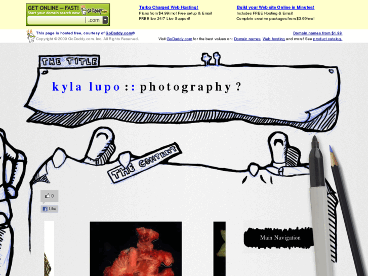 www.kylalupo.com