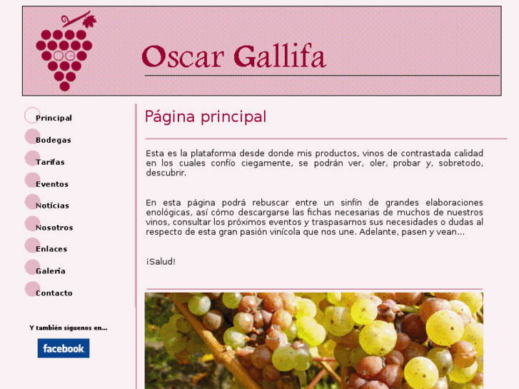 www.oscargallifa.com