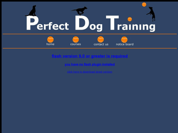 www.perfectdog.co.uk