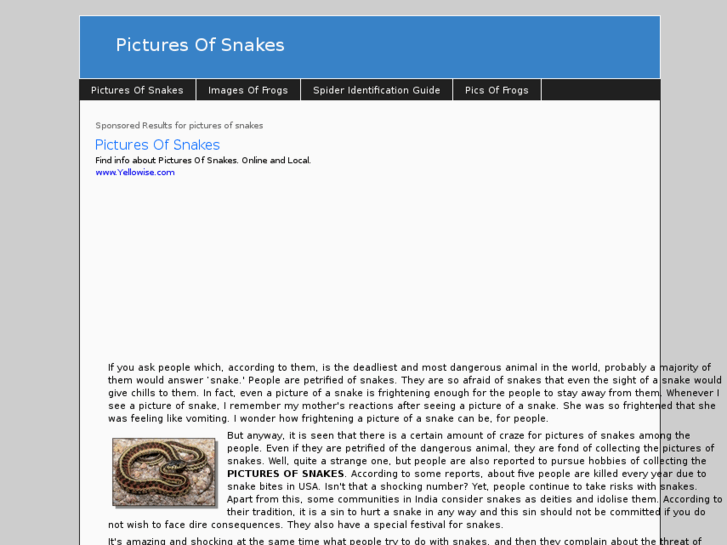 www.picturesofsnakes.info