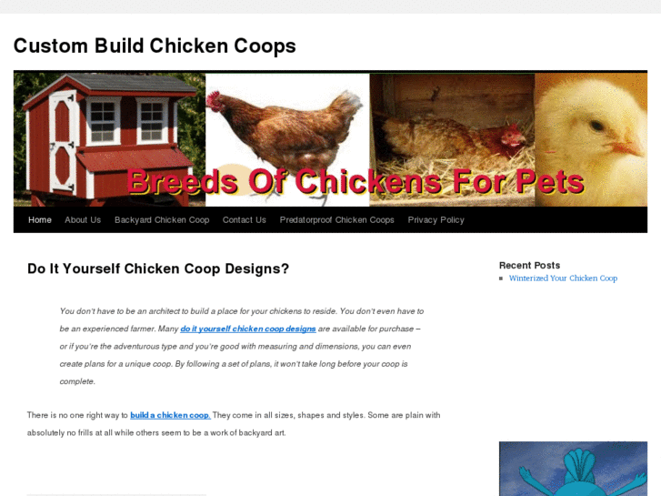 www.customchickencoops.com