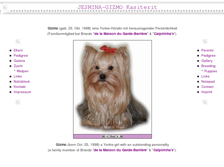 www.yorkie-ltd.com