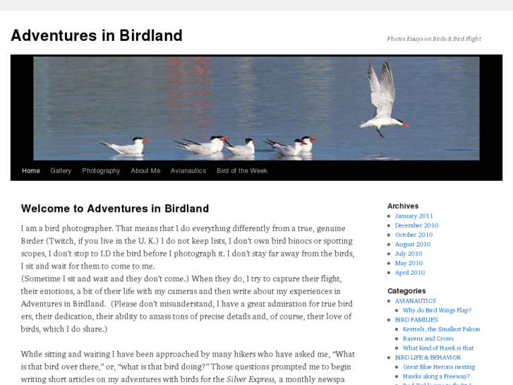 www.adventuresinbirdland.com