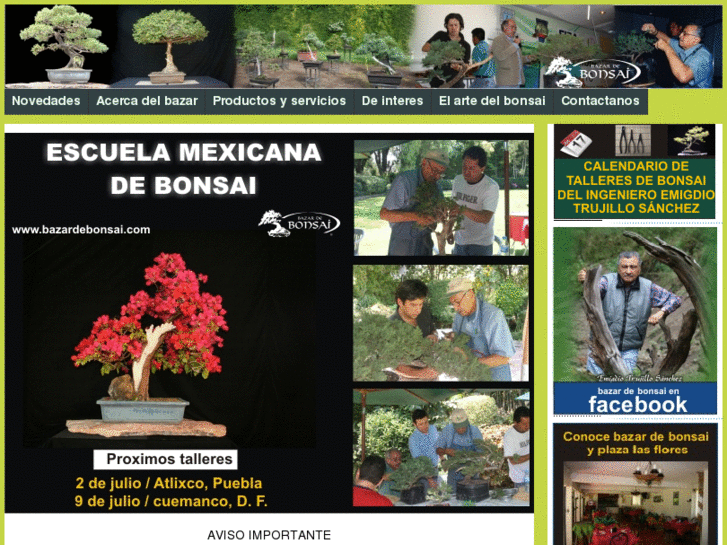 www.bazardebonsai.com