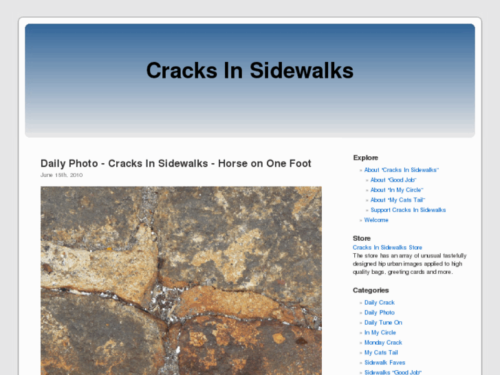 www.cracksinsidewalks.com