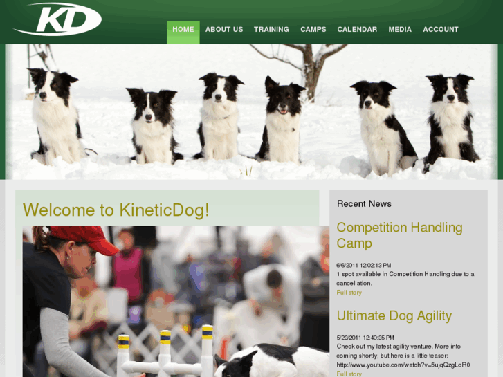 www.kineticdog.com