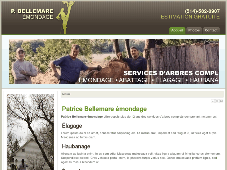 www.patricebellemare.com