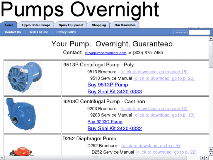 www.pumpsnow.com