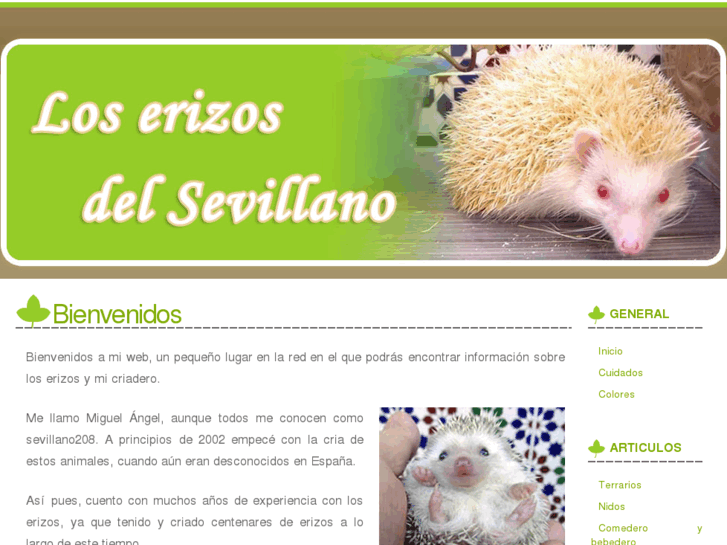 www.erizosdelsevillano.com