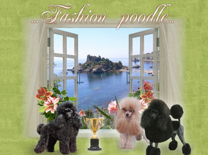 www.fashionpoodle.it