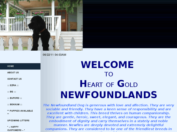 www.heartofgoldnewfoundlands.com