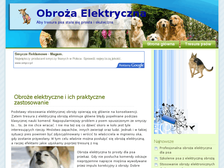www.obrozaelektryczna.info