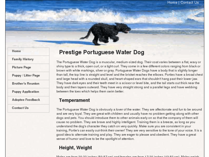 www.prestige-water-dogs.com