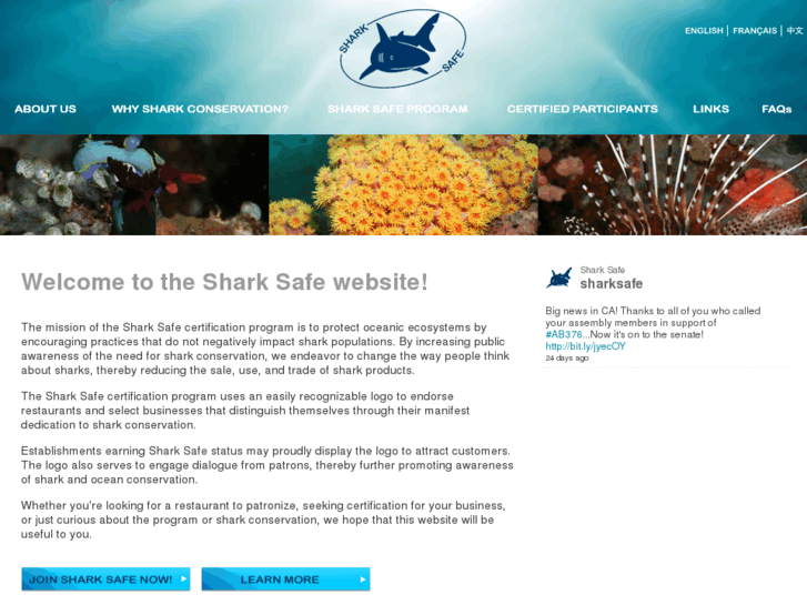 www.sharksafe.org