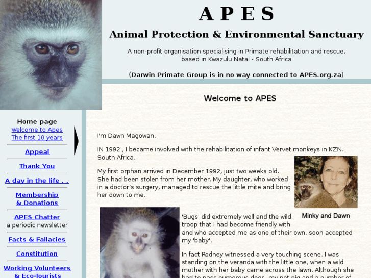 www.apes.org.za