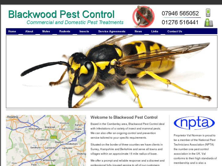 www.blackwoodpestcontrol.com