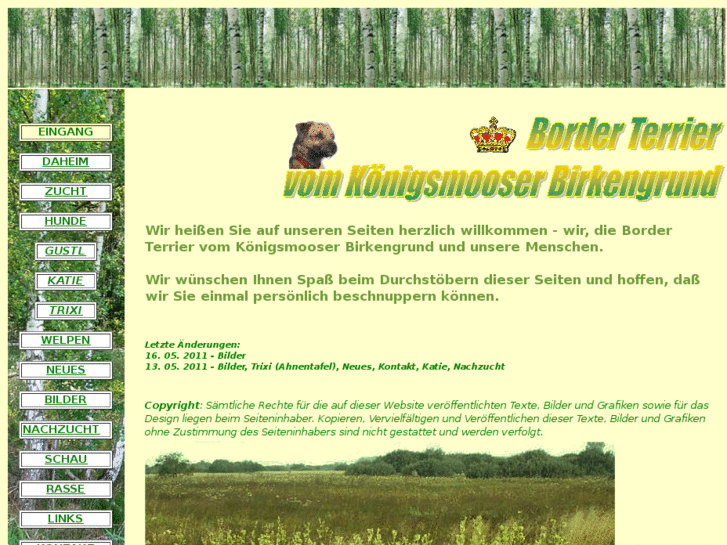 www.borderterrier-birkengrund.de