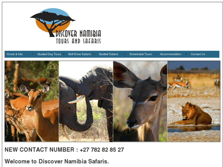 www.discover-namibia-safaris.com