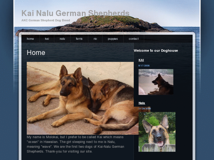 www.kainalugermanshepherds.com