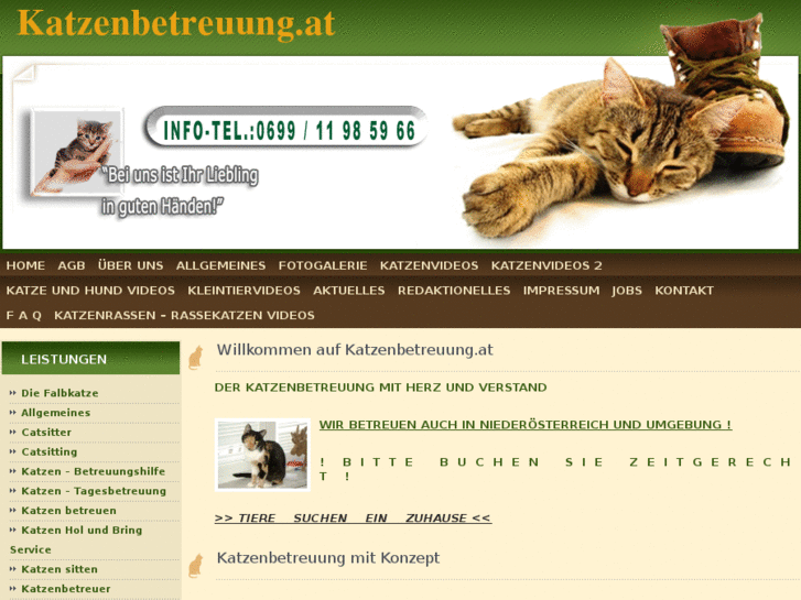 www.katzenbetreuer.com