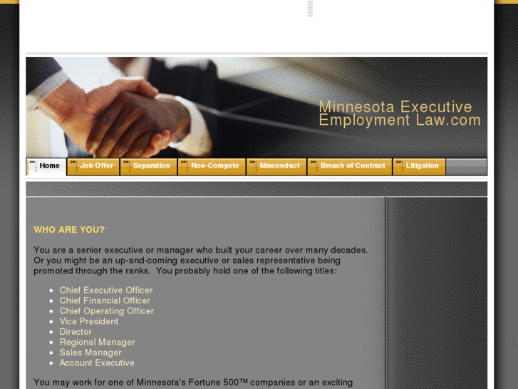 www.minnesotaexecutiveemploymentlaw.com