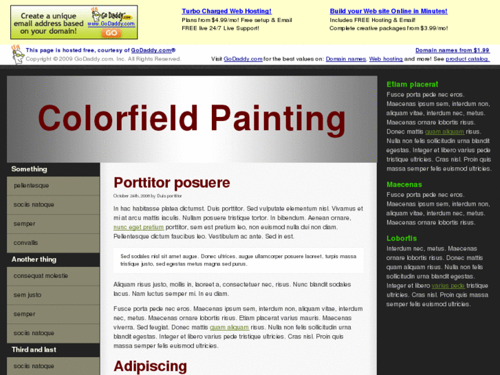 www.colorfieldpainting.biz