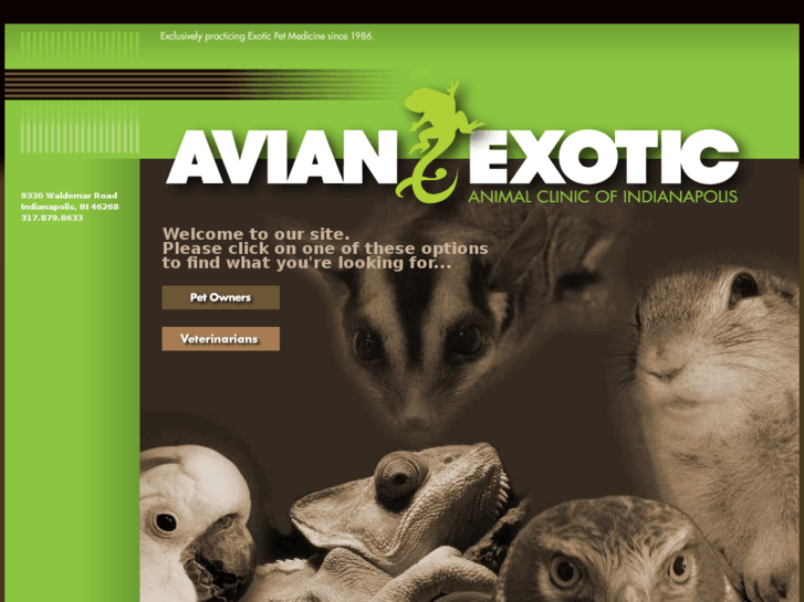 www.exoticvetclinic.com