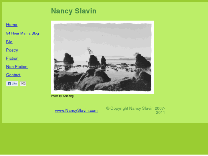 www.nancyslavin.com