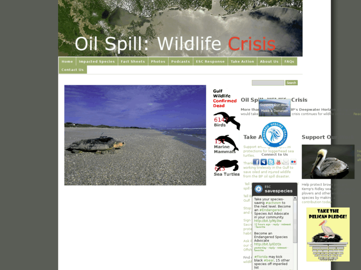 www.oilspillwildlife.org