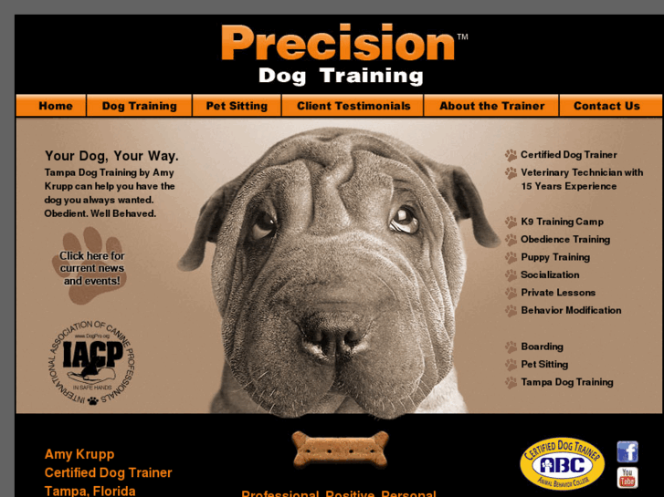 www.precisiondogtraining.com