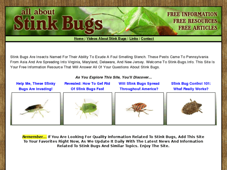 www.stink-bugs.info