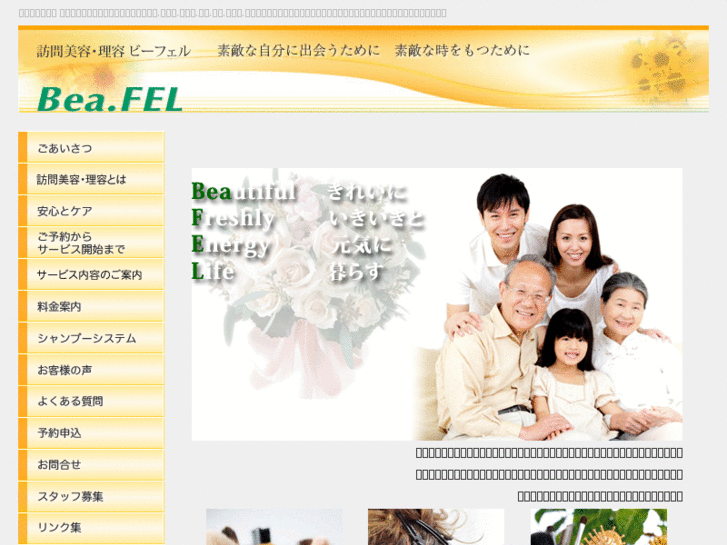 www.bea-fel.com