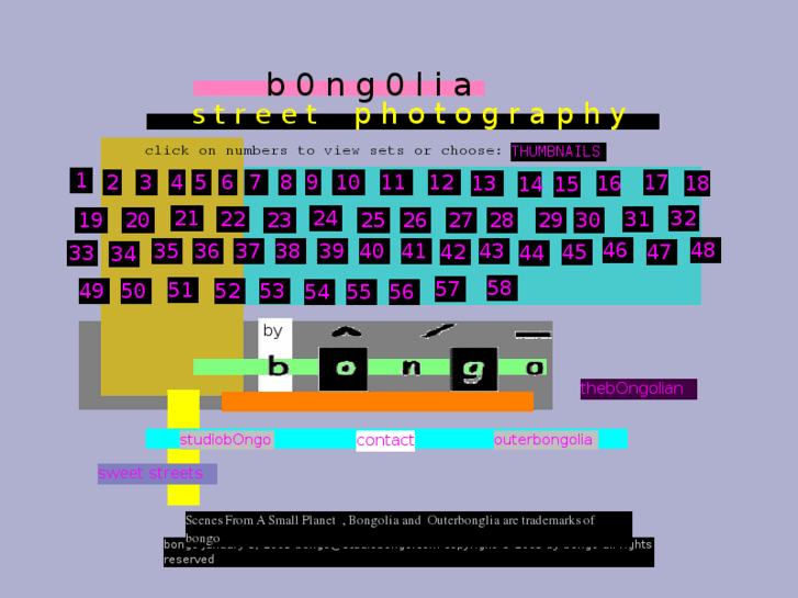 www.bongolia.com