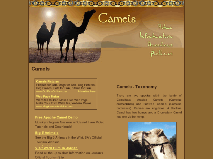 www.camels-camels.com