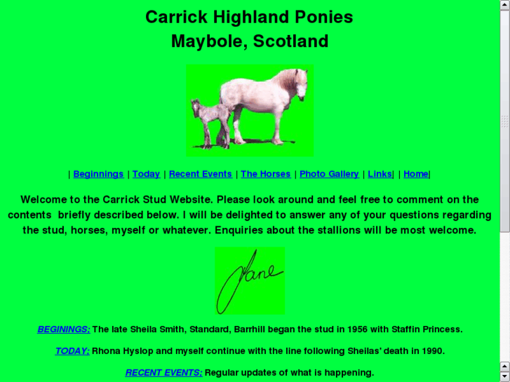 www.carrickhighlandponies.com