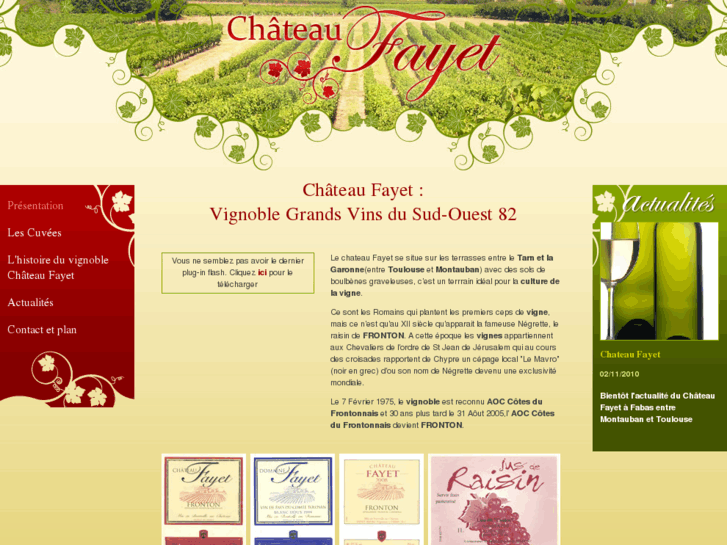 www.chateau-fayet-vignoble.com