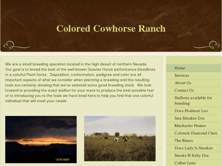 www.coloredcowhorseranch.com