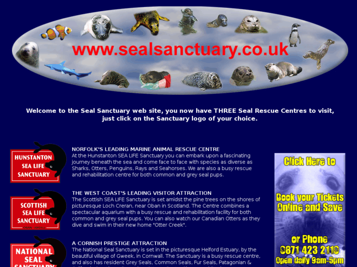 www.greyseals.co.uk