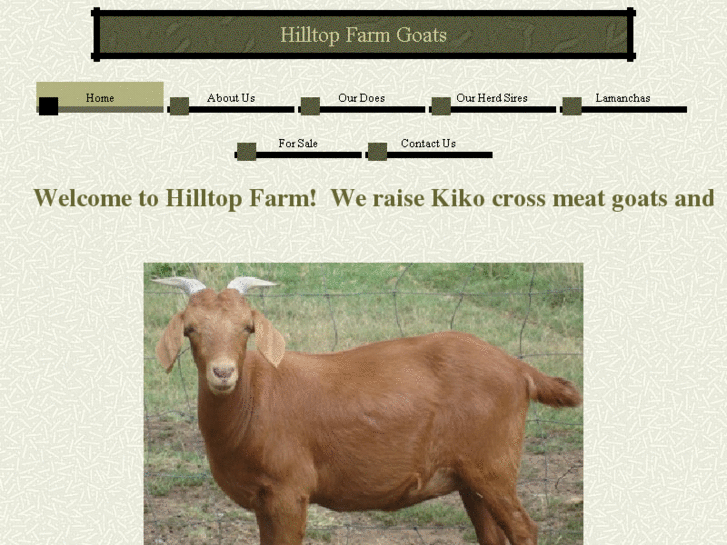 www.hilltopfarmboers.com