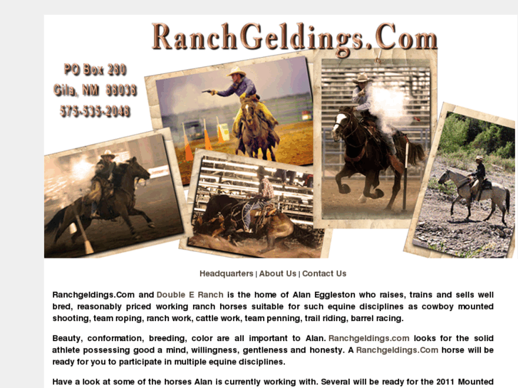 www.ranchgeldings.com