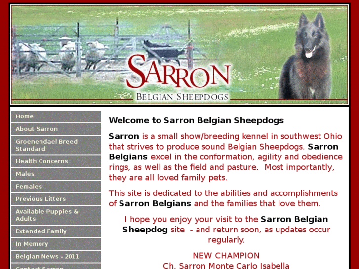 www.sarronbelgians.com