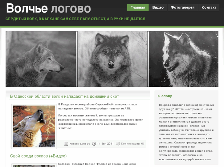 www.wolvesworld.ru