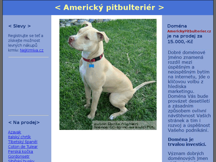 www.americkypitbulterier.cz